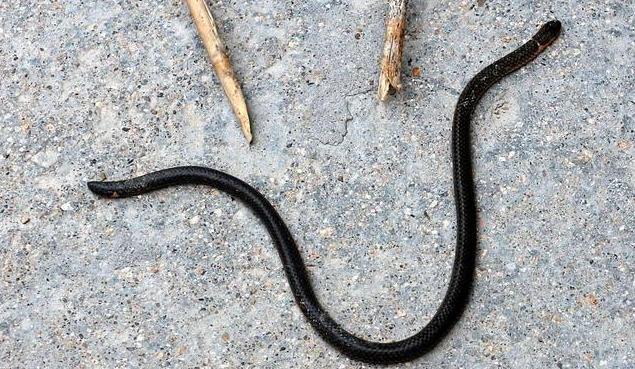 江西,风华绝代的多彩宝藏