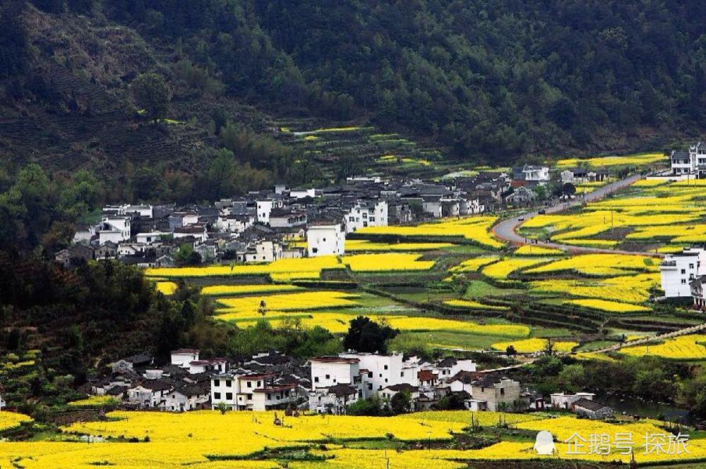 赣鄱大地,江西千年绿色家园的画卷长卷