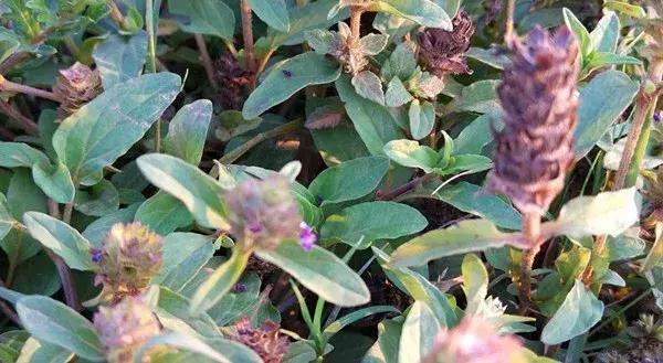 云南探秘，多彩风情之旅